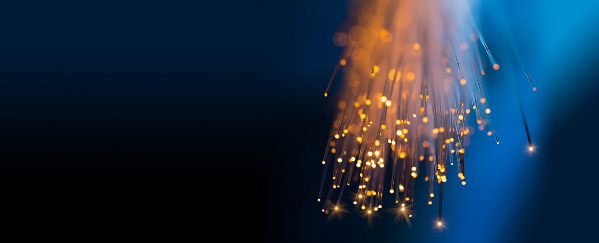 Servicios de Fibra